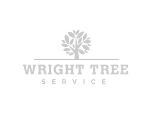 Wright Tree Services