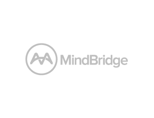 MindBridge