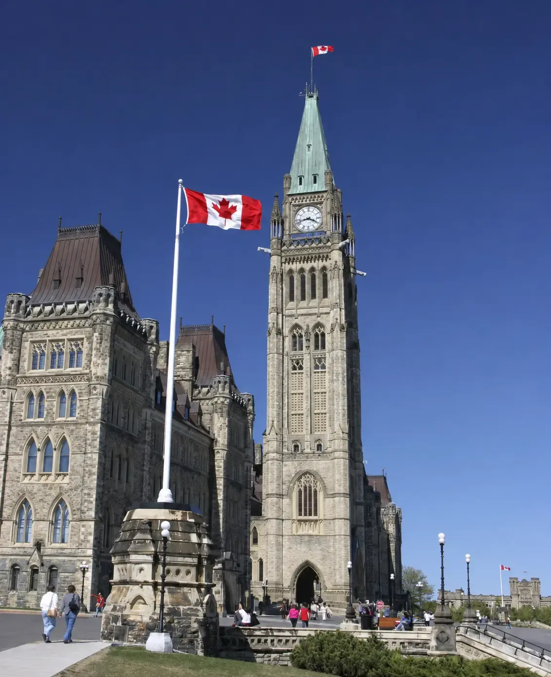 Ottawa PPF Wraps